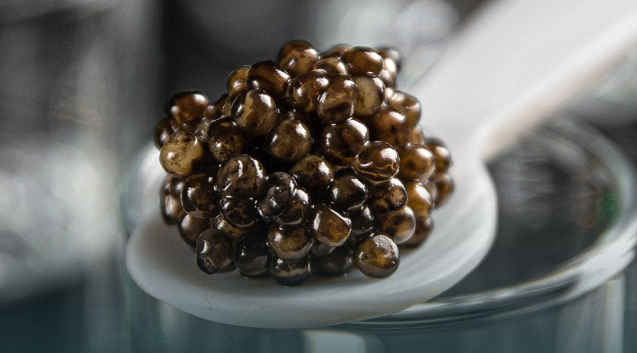 What is Ossetra Caviar? A Complete Guide to Ossetra Caviar