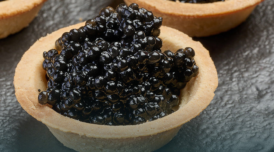 What is Beluga Caviar? A Full Guide to Beluga Caviar