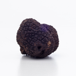 Load image into Gallery viewer, truffle on plain white background