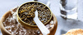 Sturgeon Caviar: A Species-by-Species Breakdown