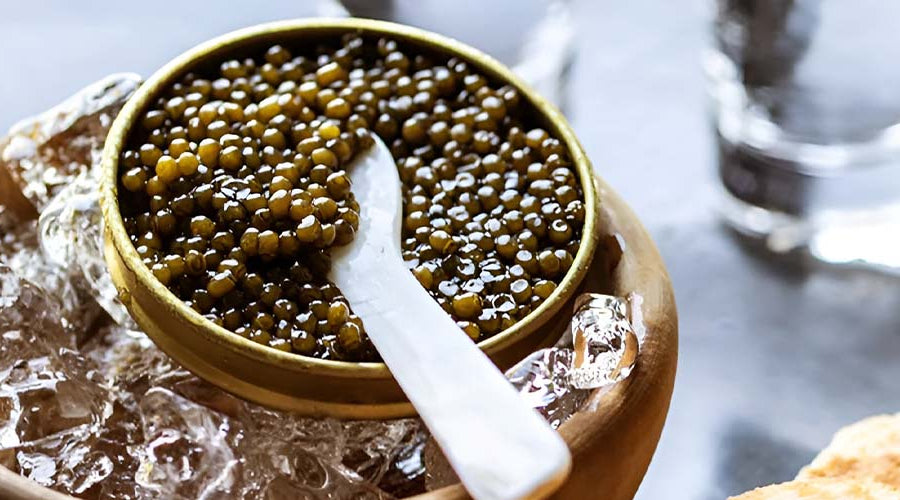 Sturgeon Caviar: A Species-by-Species Breakdown