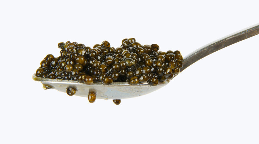 What Spoon to Use For Caviar? Bone vs Mother of Pearl
