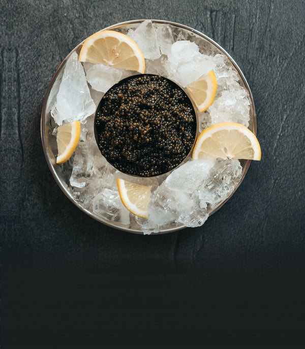 Paddlefish Caviar