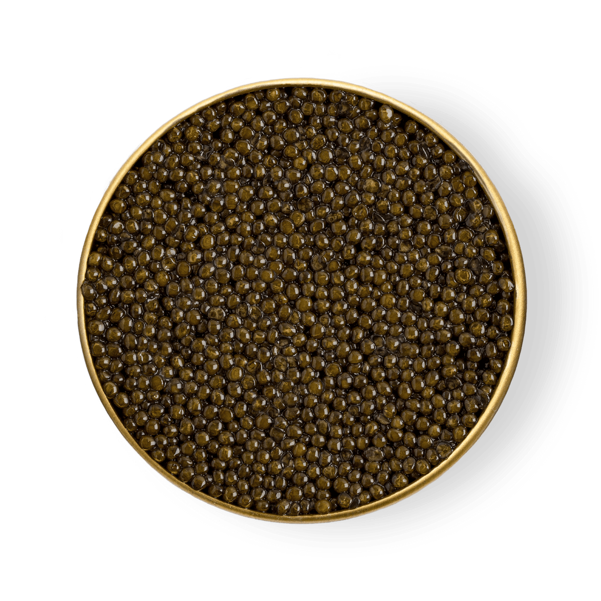 Ryal Roe Buy Caspian Ossetra Royal Caviar | Petrusco