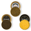 Load image into Gallery viewer, Three open gold tins of Petrusco caviar — golden-green Royal Ossetra, dark Caspian Ossetra Royal, and bright golden Almas Albino Sterlet — viewed from above
