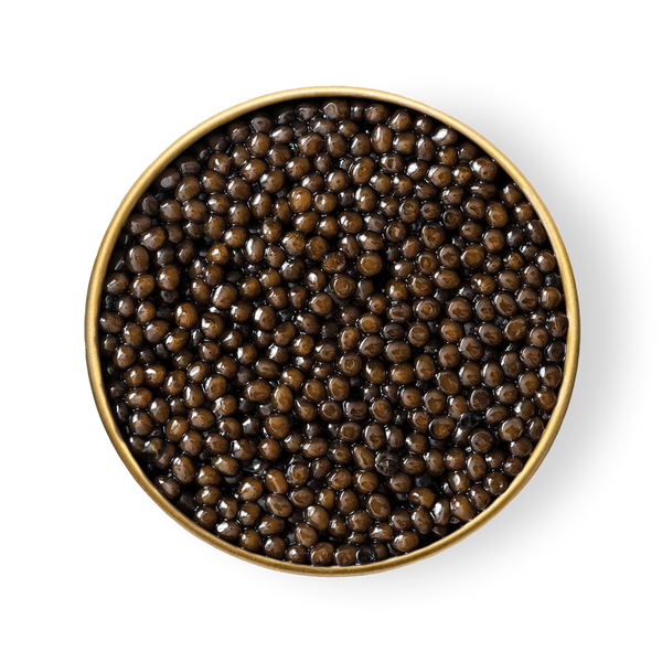 A close-up of Petrusco Amur caviar in an open tin.