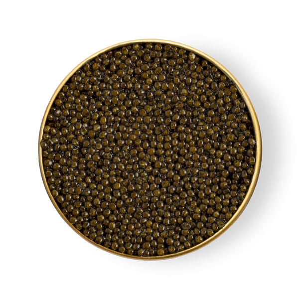Caspian Ossetra Royal Caviar