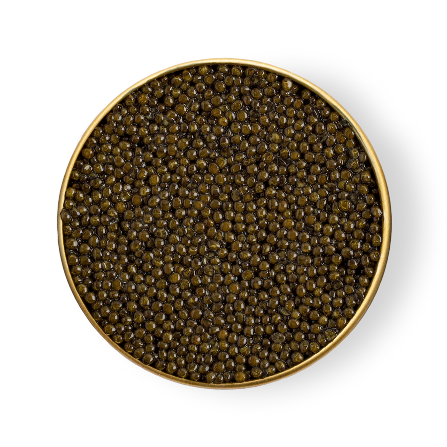 Caspian Ossetra Royal Caviar