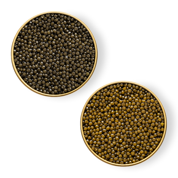 Close-up image of Royal Ossetra and Ossetra Reserve caviar in tins.