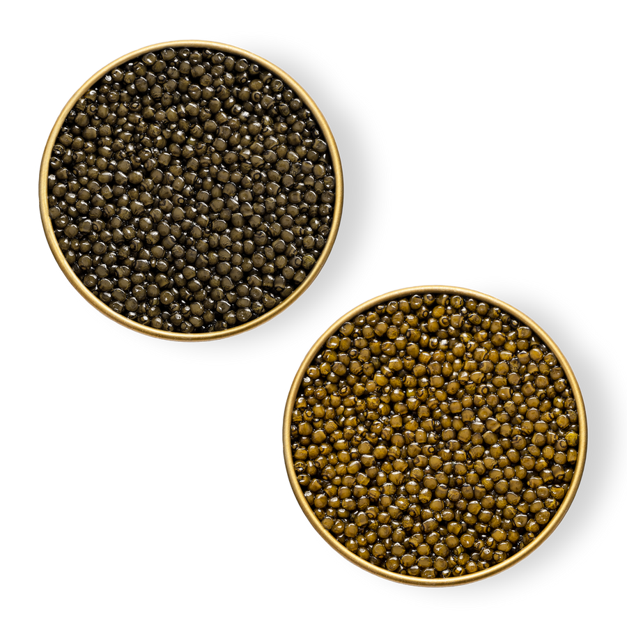 Close-up image of Royal Ossetra and Ossetra Reserve caviar in tins.