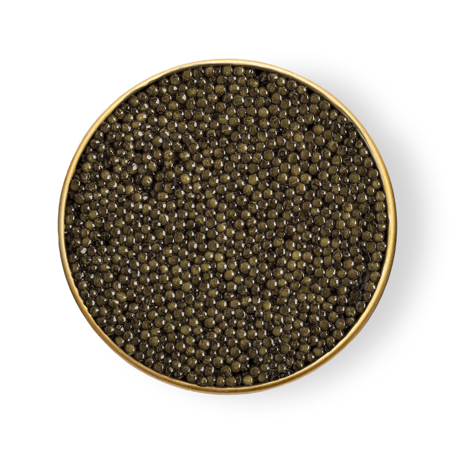 A close up of an open tin of black caviar 