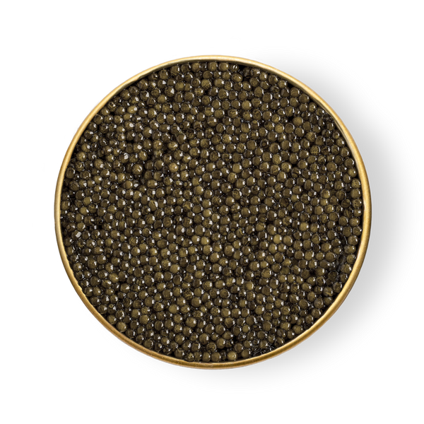 Open tin of Petrusco Culinary Grade Ossetra caviar showing dark olive-green pearls on a white background.