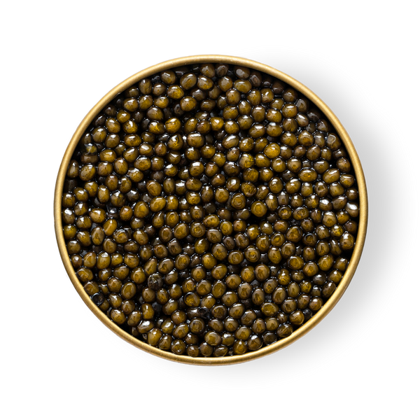 A close-up of Petrusco River Beluga Hybrid caviar in an open tin.