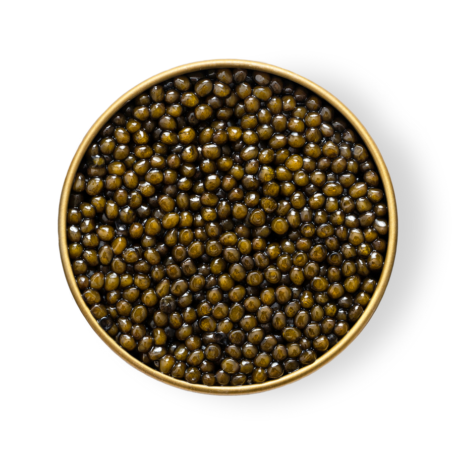 A close-up of Petrusco River Beluga Hybrid caviar in an open tin.