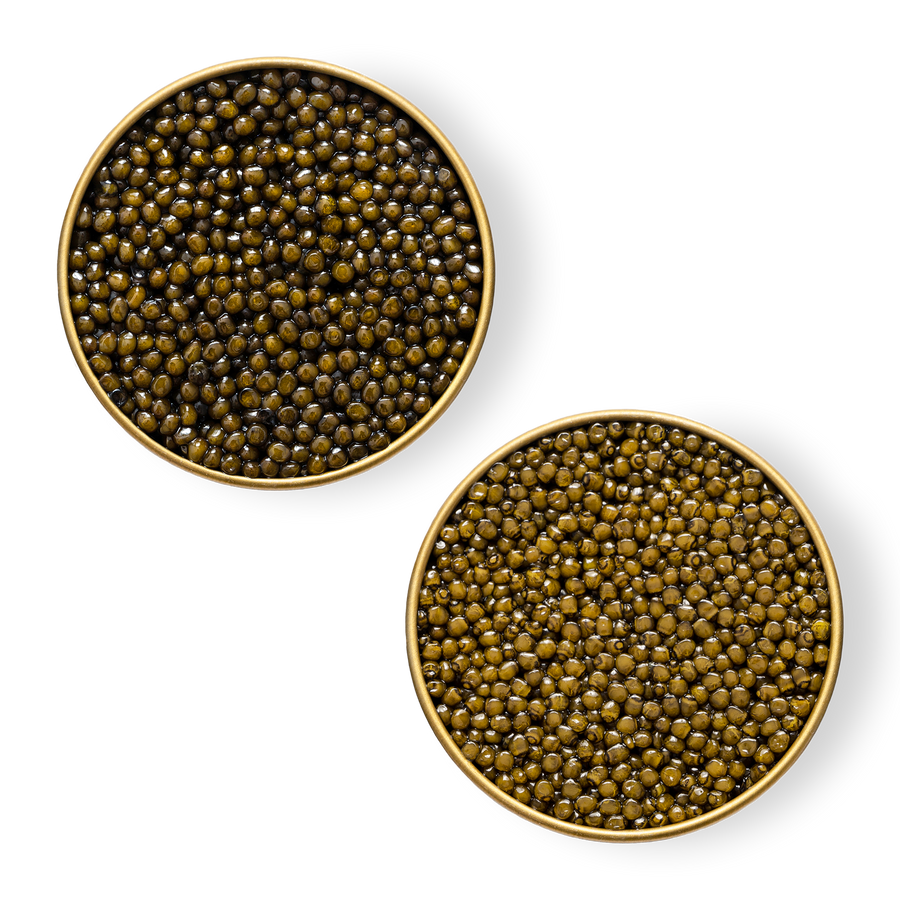 Close-up image of Royal Ossetra and River Beluga Hybrid caviar in tins.