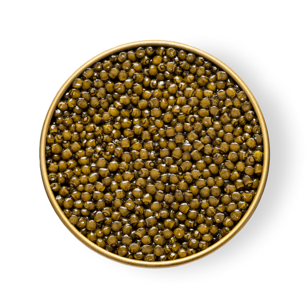 A close up of Petrusco Royal Ossetra caviar in an open tin.