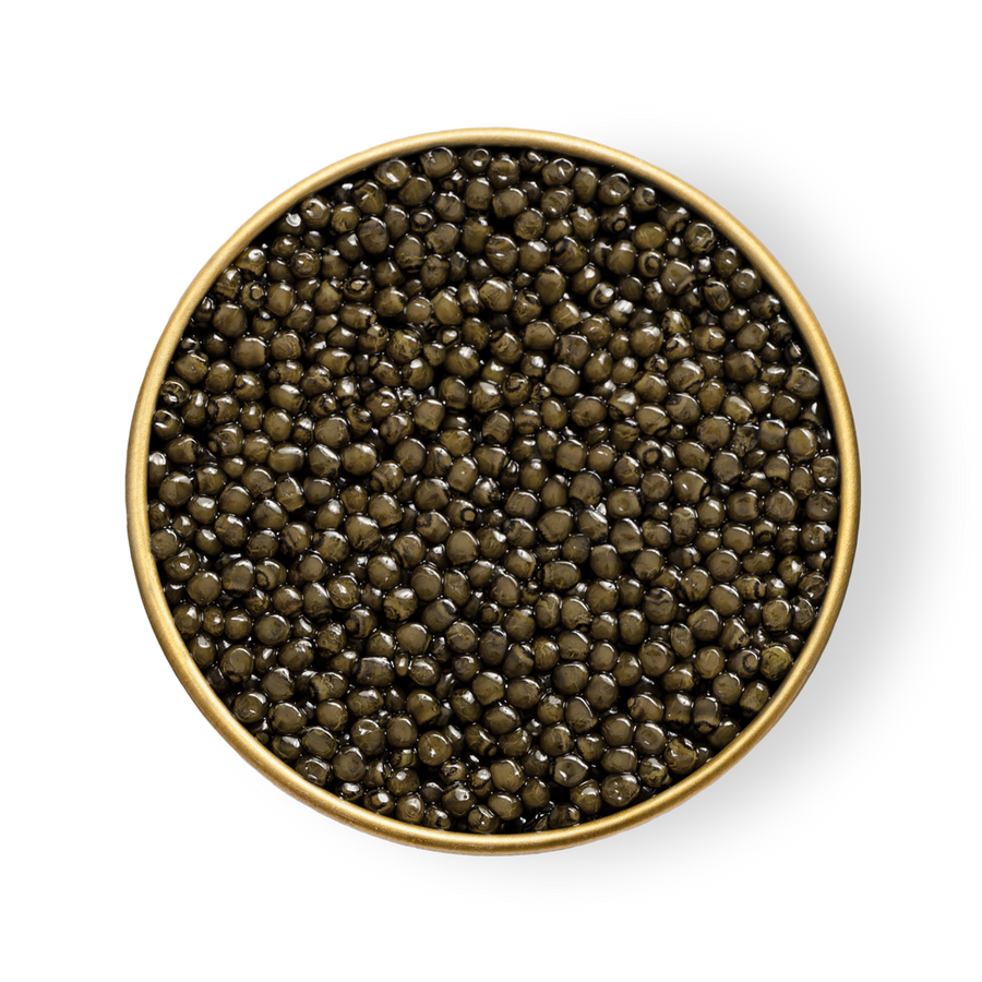 A close up of Petrusco Ossetra Reserve caviar in an open tin.