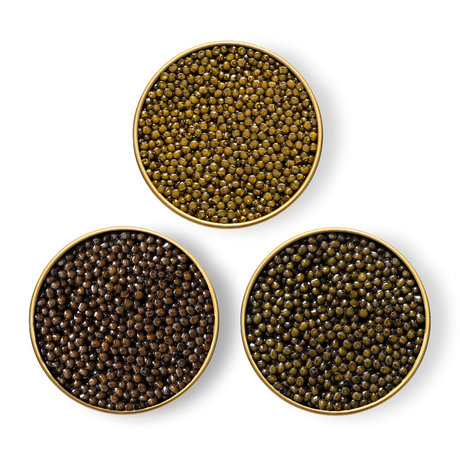 Close-up image of Royal Ossetra, River Beluga, and limited edition Amur caviar in tins.