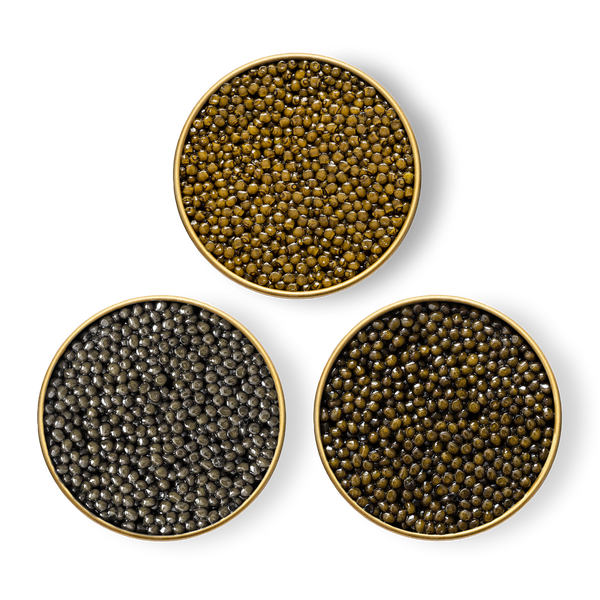 Close-up image of Royal Ossetra, River Beluga and Limited Edition Sevruga  caviar in tins.