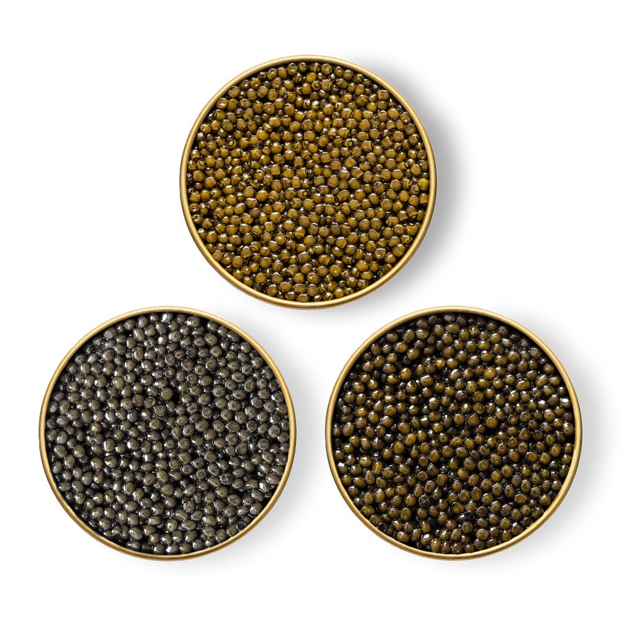 Close-up image of Royal Ossetra, River Beluga and Limited Edition Sevruga  caviar in tins.