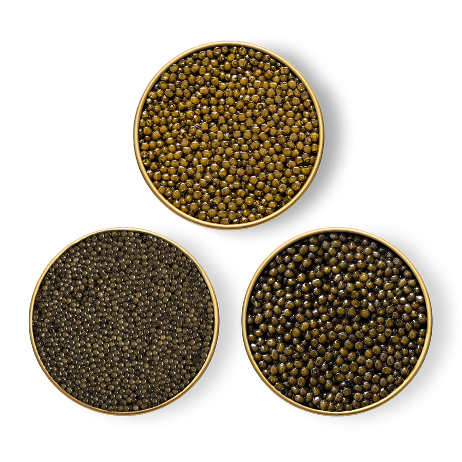 Trio Bundle: Royal Ossetra, Beluga & Platinum Ossetra