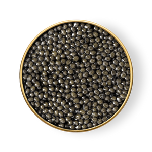 Sevruga Caviar