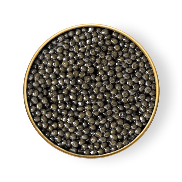 Sevruga Caviar