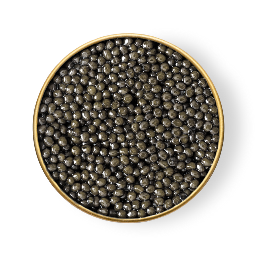 Sevruga Caviar