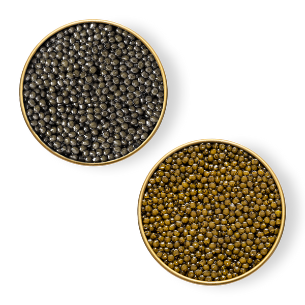 Close-up image of Royal Ossetra Sevruga caviar in tins.