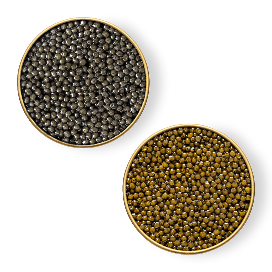 Close-up image of Royal Ossetra Sevruga caviar in tins.