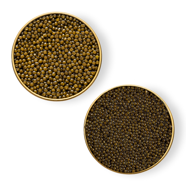 Two different types of caviar in separate tins 