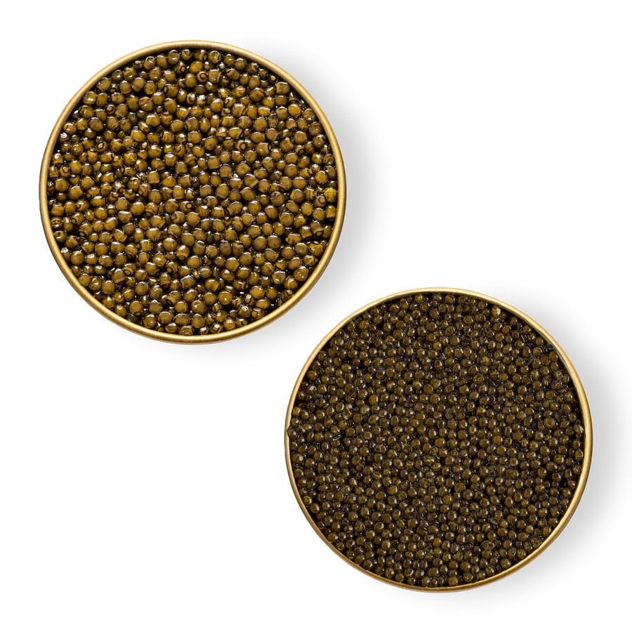 Two different types of caviar in separate tins 