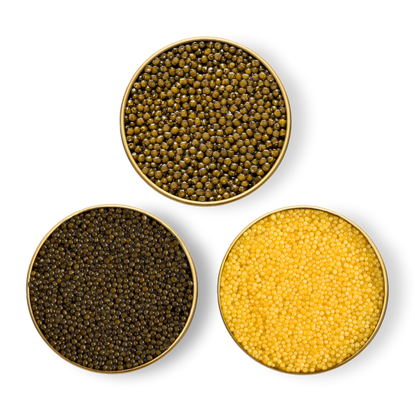 Caspian & Almas Albino & Royal Ossetra Tasting Pack