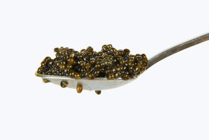  a metal spoon filled with Petrusco river beluga hybrid caviar