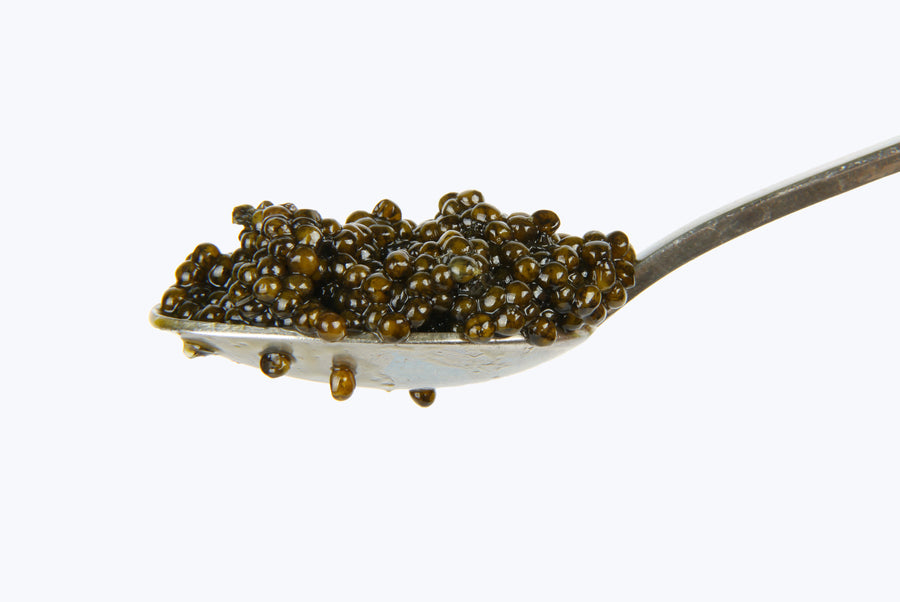 a metal spoon filled with Petrusco river beluga hybrid caviar