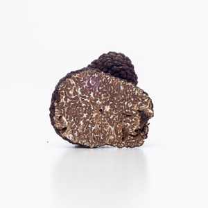 Black Summer Truffle