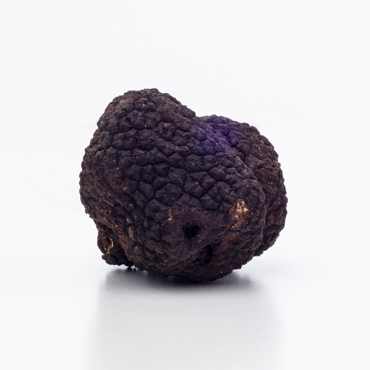 truffle on plain white background